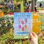 일산 가볼만한곳 고양국제꽃박람회 후기 무료 셔틀 이용법
