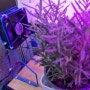 로즈마리 라벤더를 위한 자작_컴퓨터에서 빼낸 쿨링 팬으로 만든 식물 공기순환 시스템_