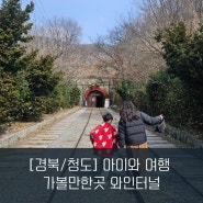 [경북/청도] 아이와 함께하는 여행 실내가 볼만한 곳 청도와인터널