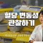 연속혈당측정기로 혈당 변동성 관찰하기 대구 한방내과전문의 한의원 비엠한방내과