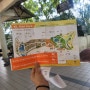 [엄마와 여행] 🇲🇾쿠알라룸푸르 5일 차 ㅡ 쿠알라룸푸르 나비 공원(kl bird park) / 차이나타운부근 맛집 Crane Upstairs KL