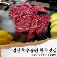 일산한우 맛집/소굴, 일산 호수공원 근처 맛집