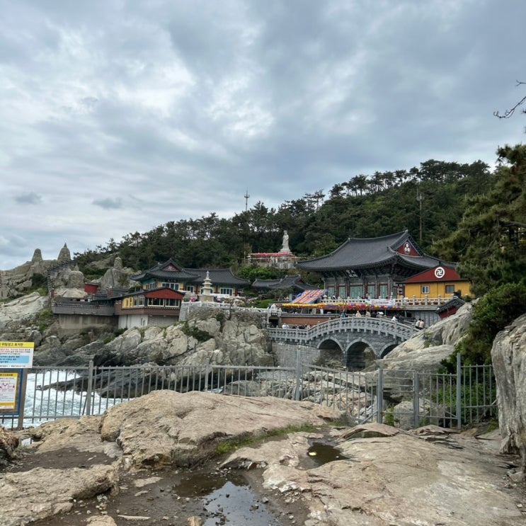 부산 해운대 근교 관광지 추천, 해동 용궁사 : 네이버 블로그