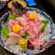 일본 진정한 로컬 일식집 시가현 타카시마시 마사(masa)/ 돌돔, 말고기 육회, 고래고기 막찍기(육회), 텐푸라, 고등어염장(헤시코) 등등