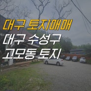 대구 토지 매매 450평, 19억 급매, 대구 대형 카페, 음식점, 캠핑장 추천