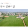 충남 보령 가볼만한곳 천북 청보리밭 보령 여행