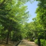 서울숲 피크닉 5월 튤립은 끝났지만 나들이 데이트 명소 봄축제 정보