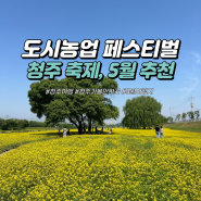 5월 축제 추천 청주 도시농업 페스티벌 유채꽃 축제