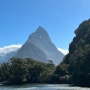 [뉴질랜드 워홀] 밀포드 사운드 크루즈 투어 - 남섬여행 4일차