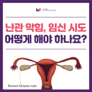 천안난임 :: 난관 막힘, 임신 시도 어떻게 해야 하나요?