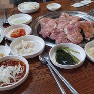 이천 현지인 추천 마장면 닭 숯불구이 맛집 설봉산 약수터 집