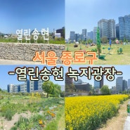 열린송현 녹지광장 전통등 유채꽃 가득한 서울 산책