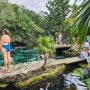 플라야 델 카르멘 세노테 아줄(Cenote Azul) 대중교통으로 다녀 오기