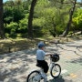 어린이날 주말 아이들과 자전거 타기 좋은 울산대공원 정문, 남문 정보