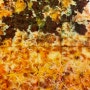 마곡 피자맛집 레츠펍에서 내돈내산 피맥 타임