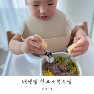 유아식 ‘배냇밀 한우소복토핑’ 후기 활용레시피
