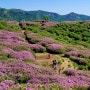 황매산 철쭉 축제, 천불천탑, 적사부 식당, 합천성당, 카페 스밀다, 합천영상테마파크