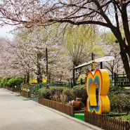 인천 아이들과 가볼만한곳 인천나비공원