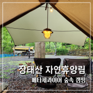 장태산 자연휴양림 B12 숲속 캠핑 후기 2탄