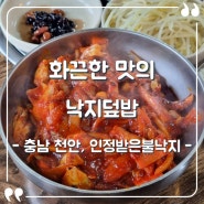 [충남 천안시] "인정받은불낙지" 중독적인 매운맛, 낙지덮밥
