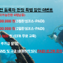 [2024 이벤트] PADI 오픈워터 자격증 | 제주 체험 다이빙 | 스쿠버 다이빙