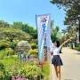 GS칼텍스 매경오픈 KPGA 골프대회 남서울cc 갤러리 후기
