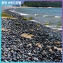 통영 추봉도 여름철 피서지로 유명한 봉암해수욕장