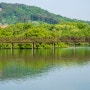 5월의 여행지 논산 탑정저수지 싱그러운 봄 풍경