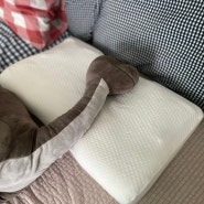 닥터올인원베개 : 거북목 베개 사용기