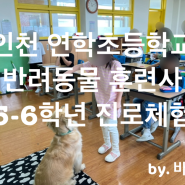 인천 강아지방문훈련 연학초등학교 5-6학년 진로체험 학습 직업 탐구활동