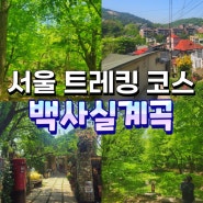 서울 5월 여행지 지금 가면 좋을만한곳 백사실 계곡 트레킹
