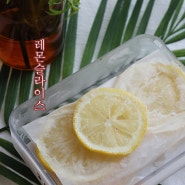 레몬 슬라이스 냉동 보관법 세척법