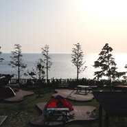 울릉도캠핑장 바다가 보이는 학포야영장 캠핑후기 예약방법