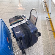 인천공항 캐리어 택배, 수하물을 편하게 옮기는 방법은 없을까?