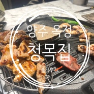 양주 옥정동 숯불닭구이 맛집 청목집 옥정점 솔직후기