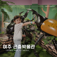 경기도 여주 곤충박물관 아이와 가볼만한곳 어린이날 여행일기