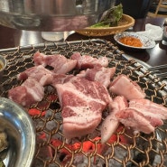 가정동 루원시티 고기 존맛 :: 대장집