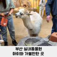 부산 실내동물원 추천 아이와 가볼만한 곳 관리잘되어 있는 라라쥬 동물원