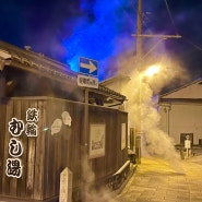 벳푸 가볼만한곳 | 효탄온천, 칸나와온천 입장료 100엔, 지옥온천_2일차
