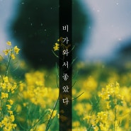 서울 유채꽃 비 내리는 날의 분위기