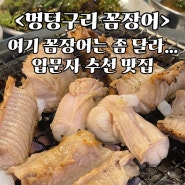 [선정릉역/삼성중앙역 맛집] 입문자도 먹기 좋은 노포 감성의 탱탱한 꼼장어 맛집 <멍텅구리 꼼장어>