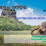 24Srilanka - 시기리아(Sigiriya) 바위 궁전