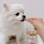 강아지 간식추천: 펫시밀 연어트릿
