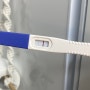 임신극초기증상 배란10일~14일 생리예정일 3일전 2일전 생예 임테기