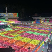 [부산 초읍] 부처님 오신 날 연등축제 ‘삼광사’ 후기 및 관람 꿀팁