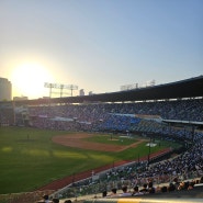 오랜만의 직관기(5.2 삼성 vs 두산)