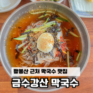팔봉산 근처 막국수 맛집 : 금수강산 막국수
