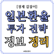 일본 환율 하락에 대한 투자 전략 정보 정리