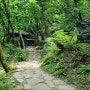 구룡산 산책