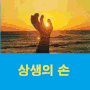 논현동 영동시장 - 서울육전 김경선 대표